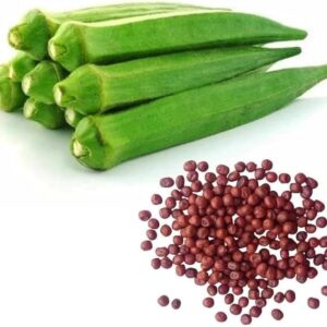 Home bhindi (okra) hybrid seeds (high germination)